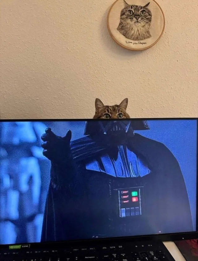 Ассорти из фото