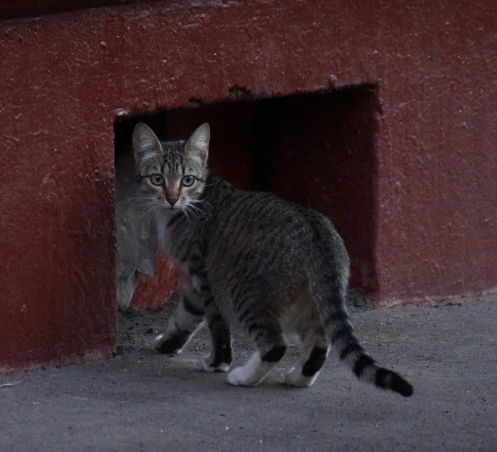 Детство: 16 мгновений тепла и волшебства