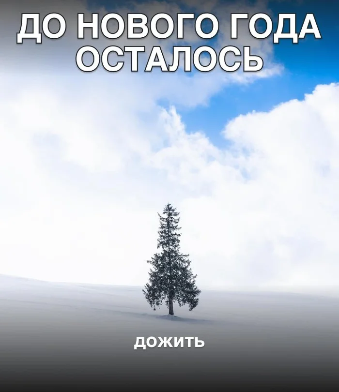 До нового года осталось...