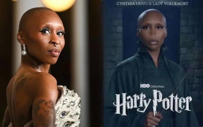 "Гарри Поттер" на Netflix: Тёмная сторона с новым лицом?