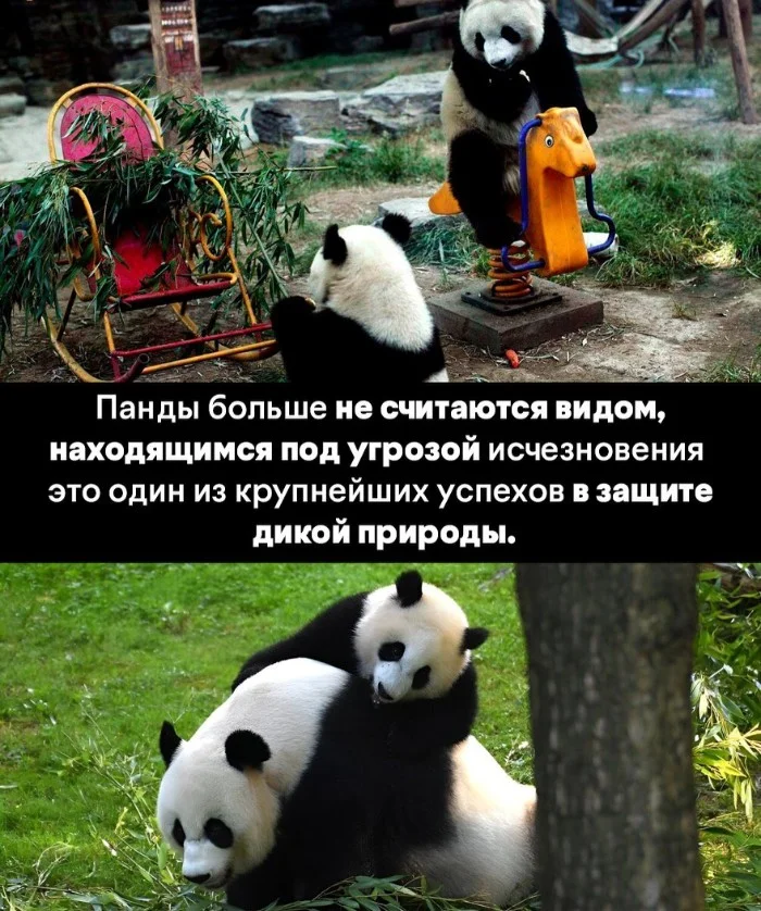 Хорошие новости из разных уголков мира