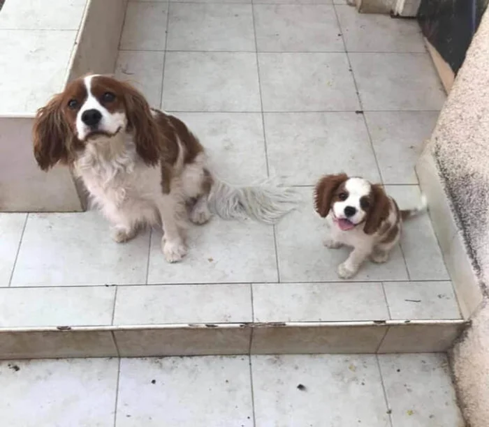 Игры судьбы: 18 невероятных совпадений, словно из кино