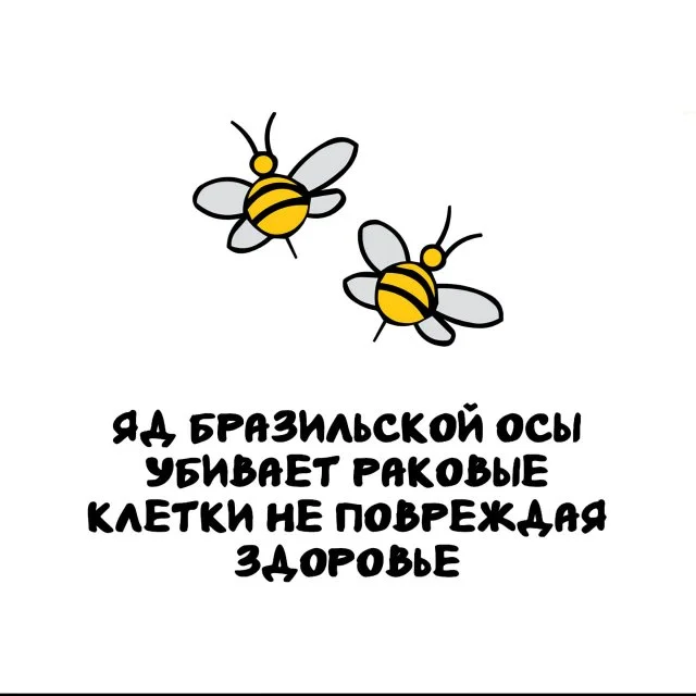 Подборка любопытных фактов на любой день