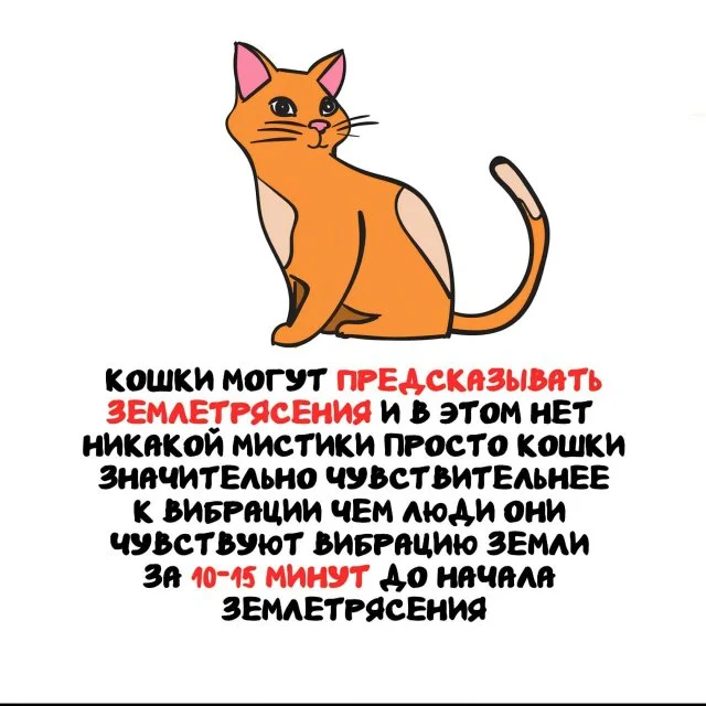 Подборка любопытных фактов на любой день