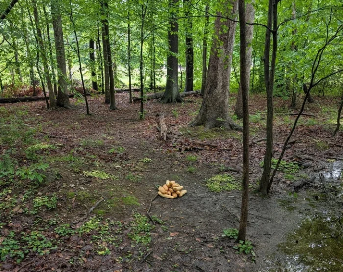 Комедия на улице: подборка случайных забавных историй и картинок