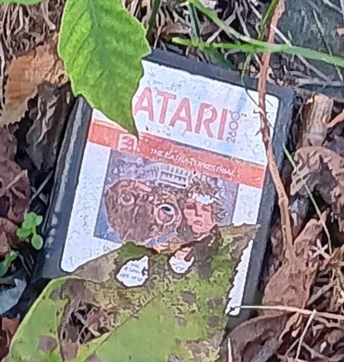 Комедия на улице: подборка случайных забавных историй и картинок