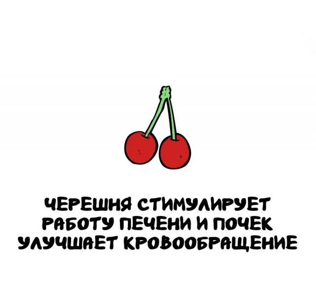 Копилка знаний: интересные факты на каждый день