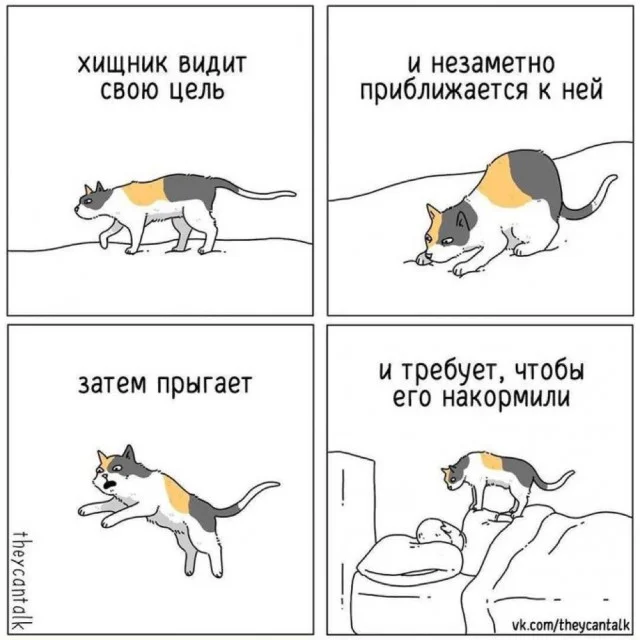 Коты поднимающие настроение