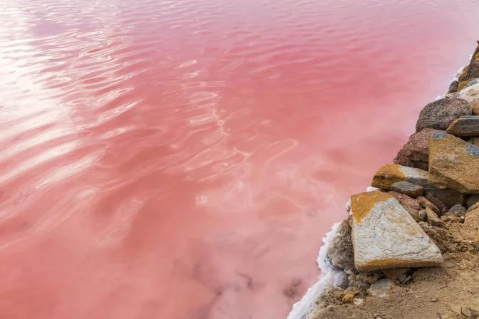 Малиновое озеро — алтайское чудо, которое живёт своей палитрой