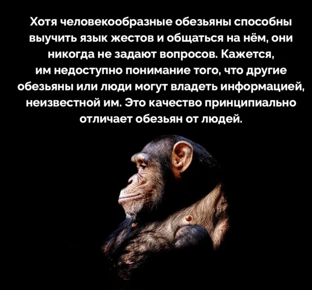 Мемы на тему: айти и не только