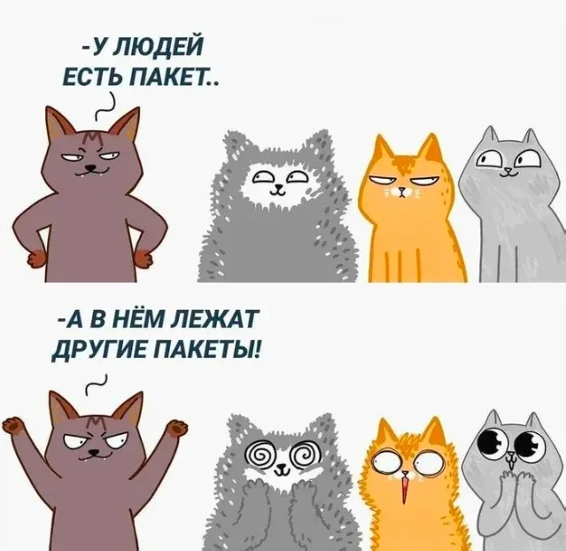 Мемы про котов