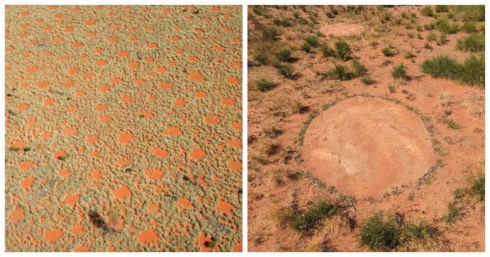 Африканские «круги фей»: мистическое явление и спорная версия учёных