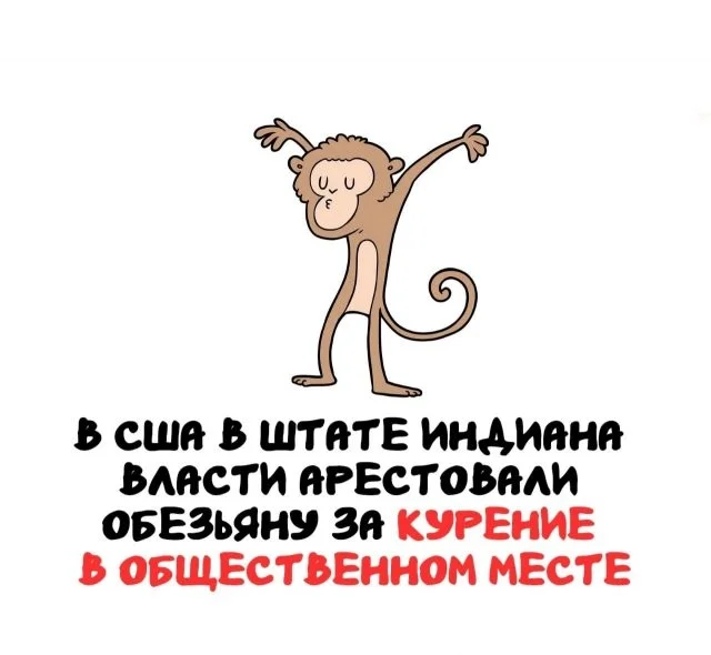 Немного интересных фактов