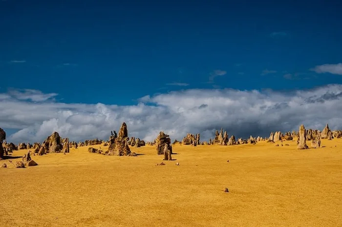 Пиннаклс: ракушки, ставшие шпилями пустыни