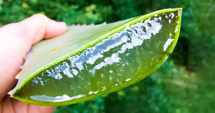 Подборка из необычных и редких вещей.