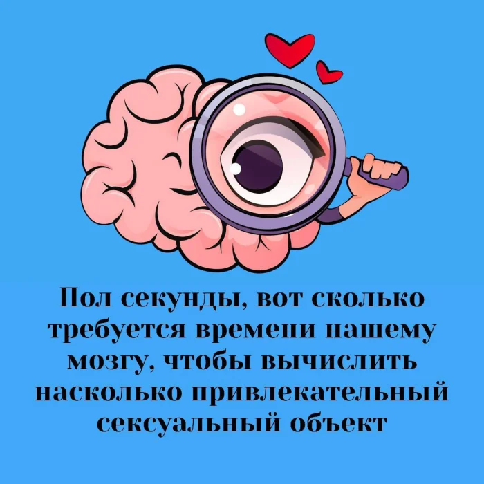 Сексуальная правда: 15 фактов, которым не научат в школе #223