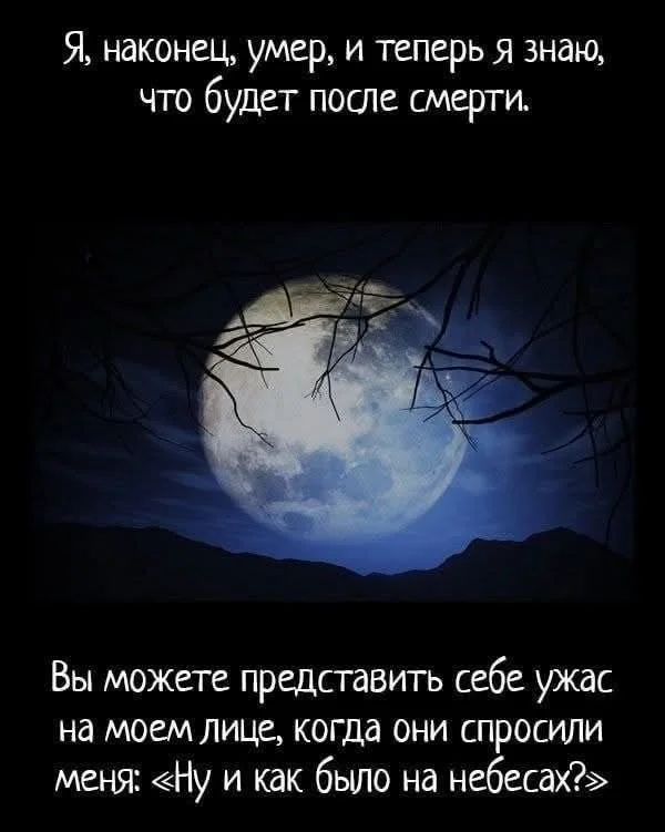 Шикарные мемы