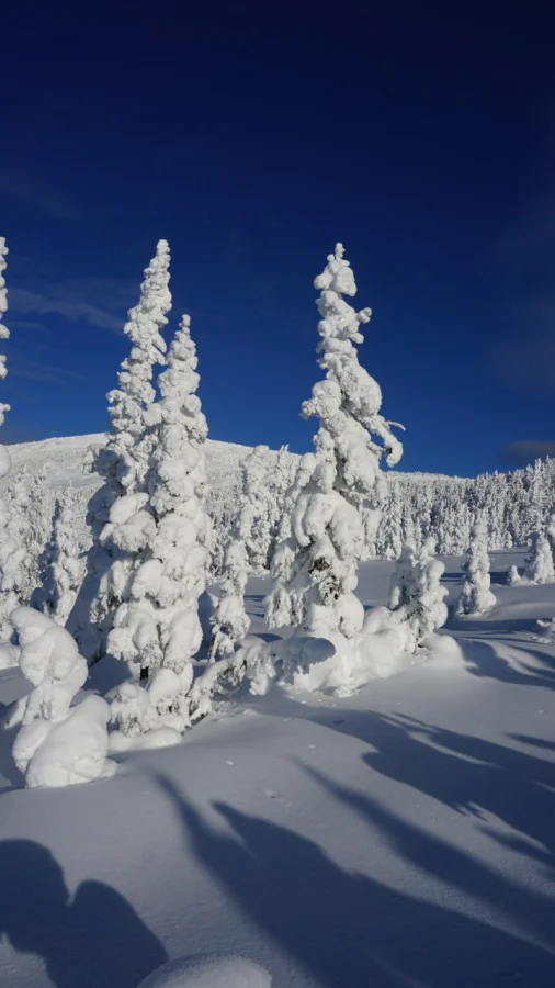 ❄️ Снежная сказка на горе Аргыджек