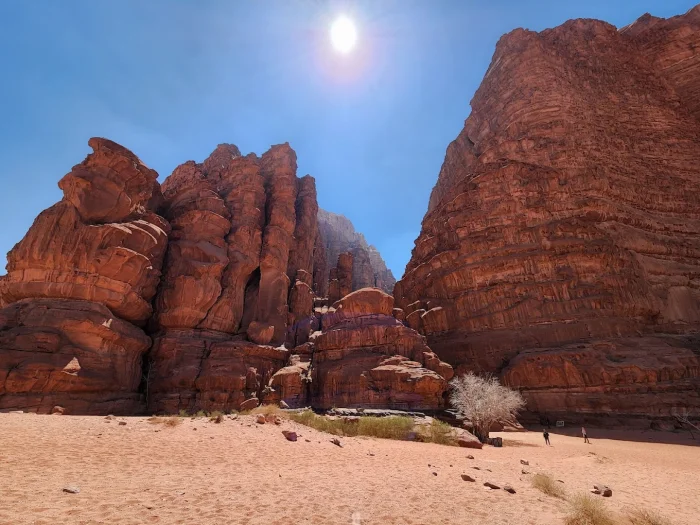 Странное жилье с Airbnb