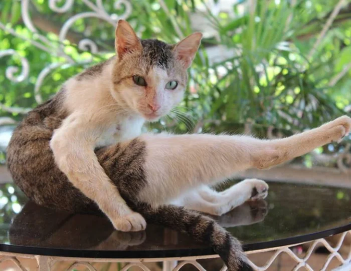 Свет в темноте: 14 историй о добрых поступках обычных людей