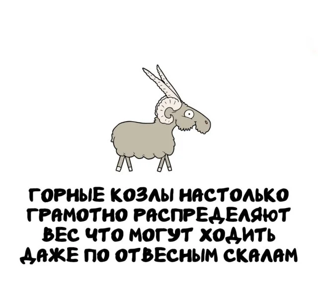 Удиви себя: Интересные факты на любой случай!