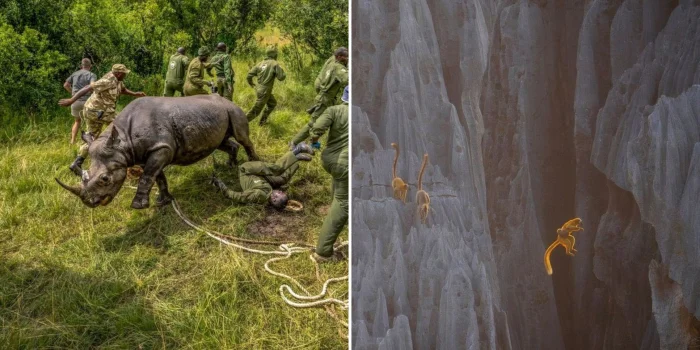 Удивительные кадры