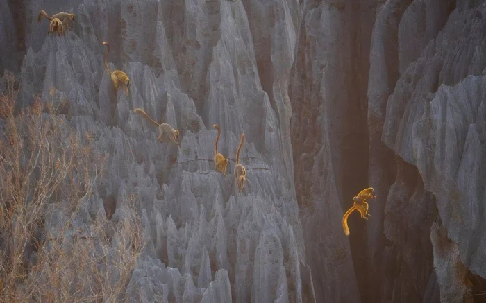 Удивительные кадры