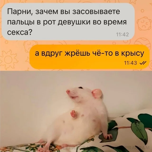 Вот такая деградация в мемах