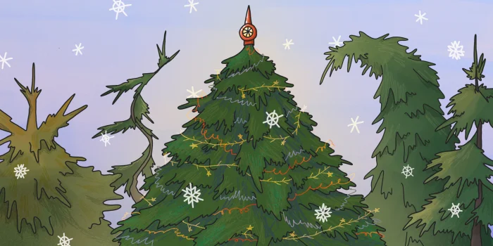 Выбираем идеальную ёлку