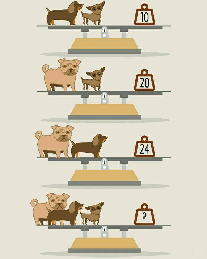 Задачка дня (7 января 2025)