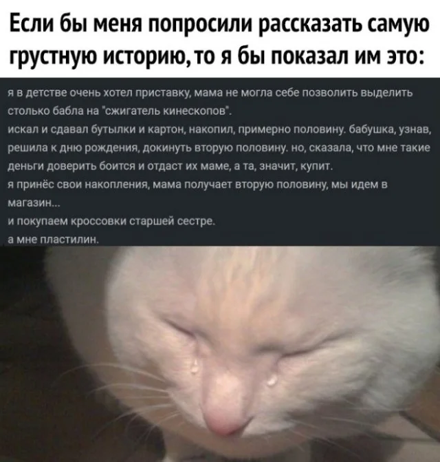 Зарядись позитивом: Порция смешных картинок для отличного настроения