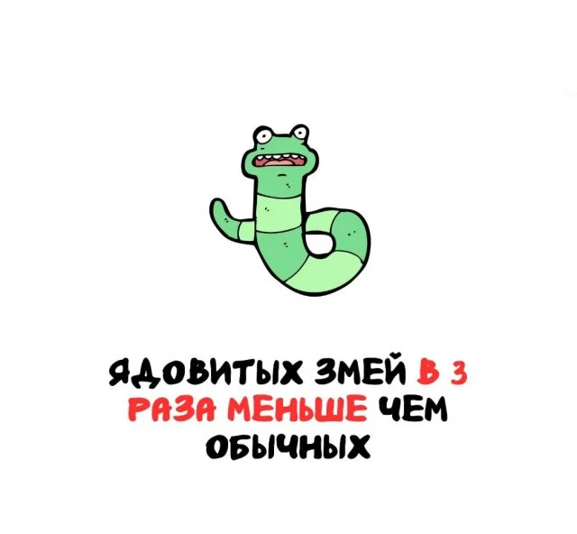 Жизненные факты обо всем