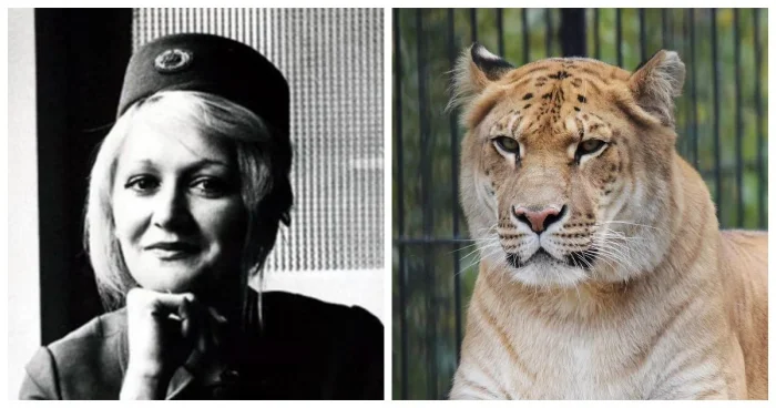 10 фактов, после которых мир выглядит иначе