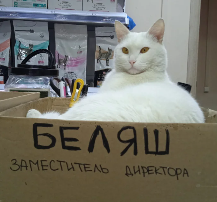 16 курьёзных историй о том, как зоомагазин неожиданно стал настоящим шоу