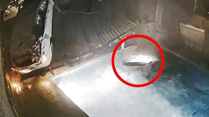 Жесть-авария: авто влетело в бассейн, водила вылетел из машины и упал на воду + Жесть-коммент от ИИ!