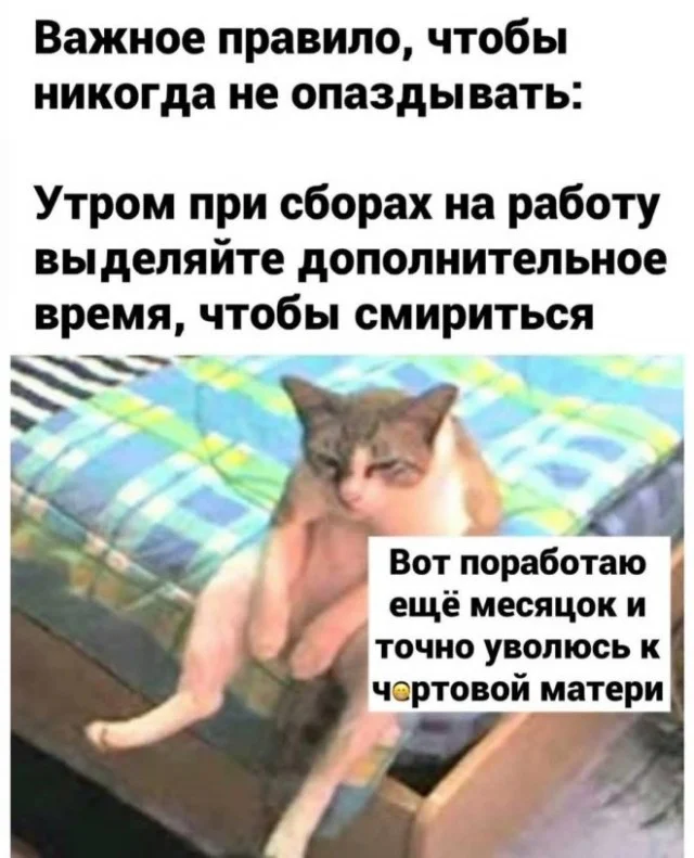 Подборка юмора