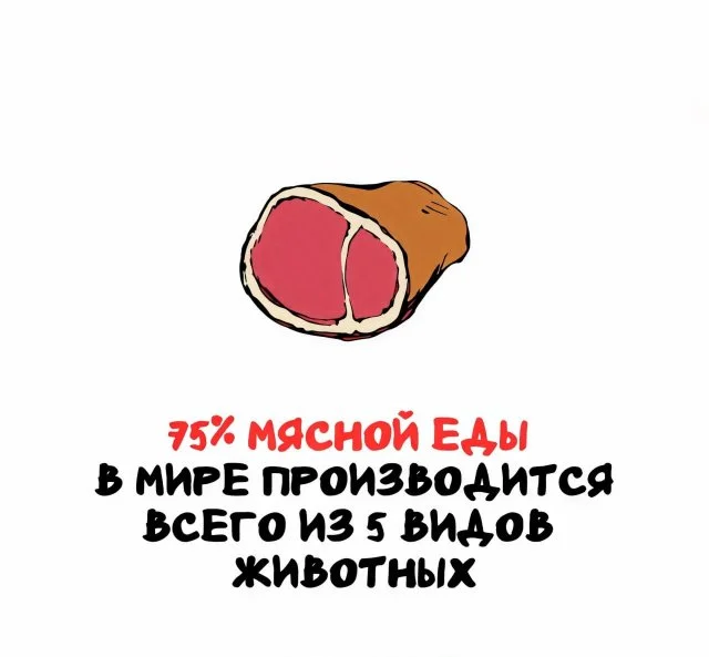 Факты, которые пригодятся неизвестно когда
