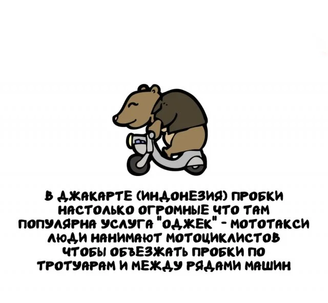 Факты, которые заставят вас взглянуть на мир иначе