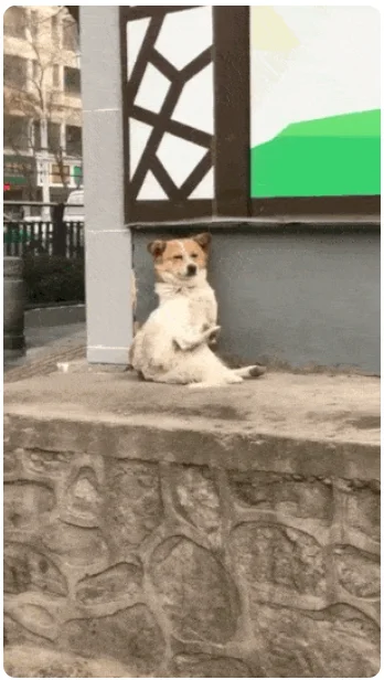 Гифки для настроения