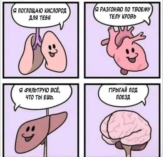 Готовьте животы! Доза мемов, вызывающая истерику