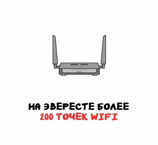 Интересные факты, которые всегда к месту