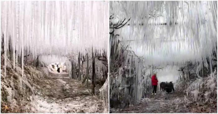 Экстрим по-китайски: Путешествие по самой опасной тропе в мире!