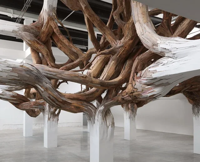 Энрике Оливейра и его природные инсталяции