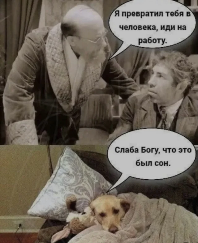 Юмористическая подборка дня