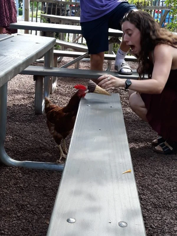 Кадр в удачный момент