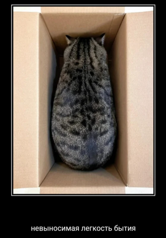 Когда забавно до абсурда