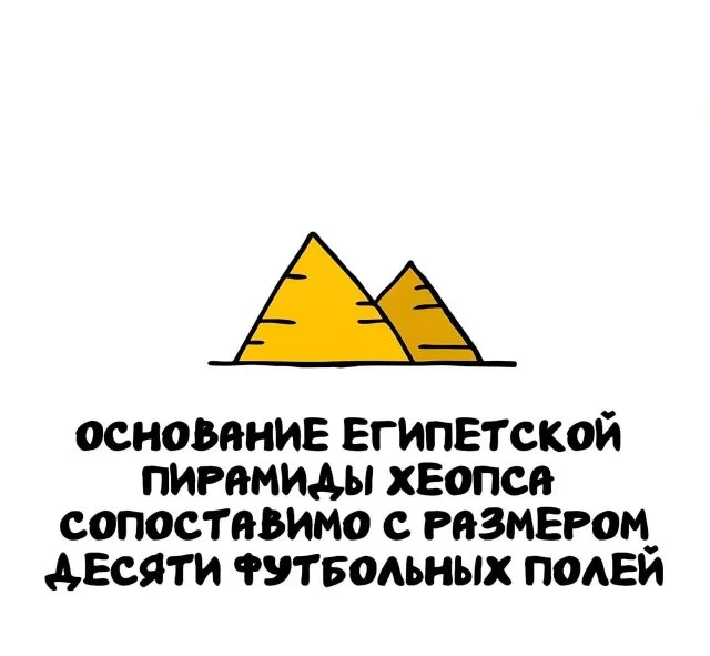 Любопытные факты на любой вкус