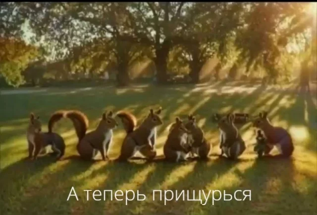 Лучшие мемы, добытые ценой времени