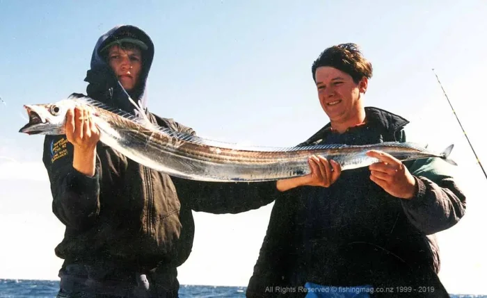 Металлическая грация океана — рыба-сабля