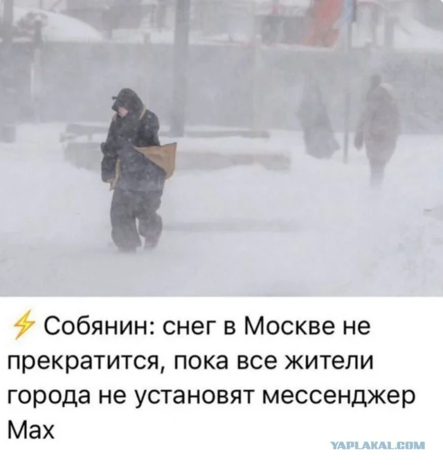 Новая партия юмора прибыла